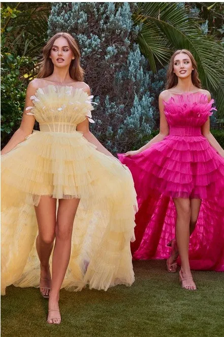 Light Yellow High Low Ruffled Tulle Gown With Feather Details