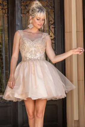 Peach Sequin Lace Embellished A Line Short Dress
