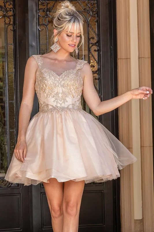 Peach Sequin Lace Embellished A Line Short Dress
