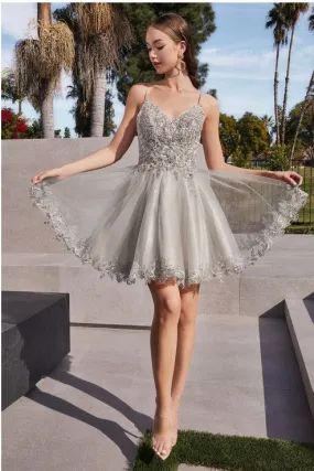 Silver Short A-Line Lace & Tulle Dress